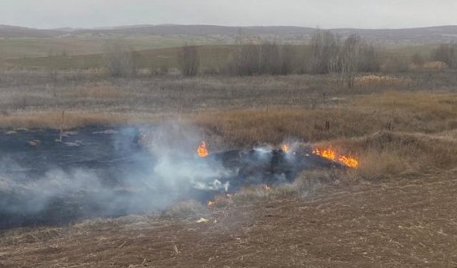 Kış ortasında ağaçlık alanda yangın