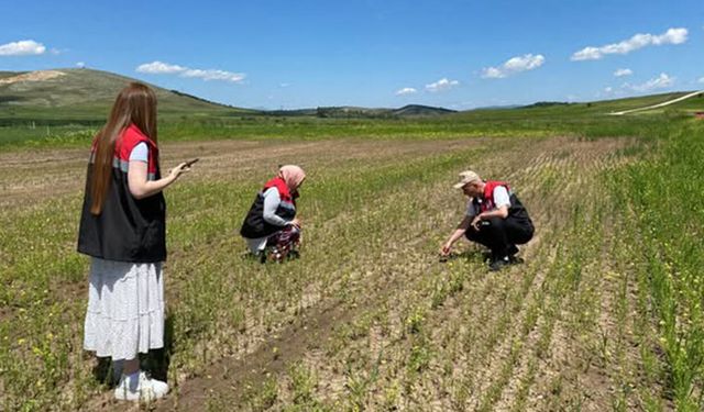 Alaca’da arazi kontrolleri aralıksız devam ediyor