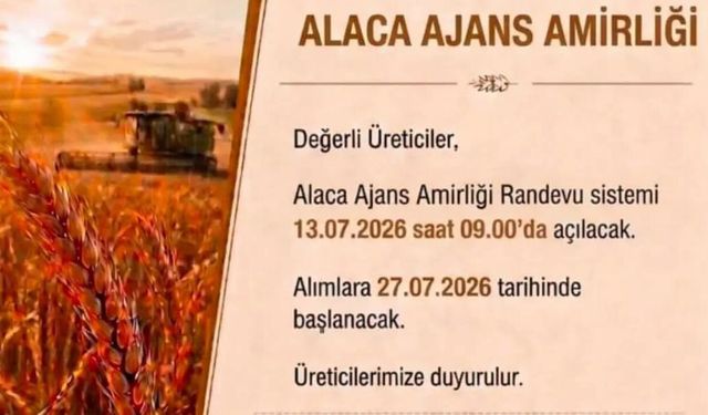 Alaca TMO’da randevu sistemi açıldı, alımlara 27 Temmuz’da başlanacak