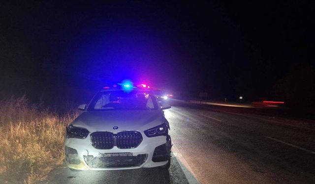 Alaca’da yola çıkan domuzlar kazaya neden oldu: 4 kişi yaralandı