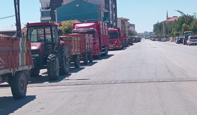 Alaca’da ürün bolluğu, çiftçide fiyat sıkıntısı var