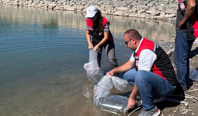 Koçhisar Barajı’na 30 bin yavru balık bırakıldı