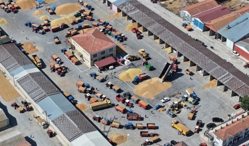 Alaca’da hasat dönemi başladı