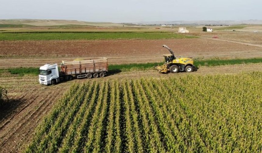 Yılmaz Kaya’dan Alaca’da Mısır Sılajı biçimi için müjde: Üreticilere büyük destek