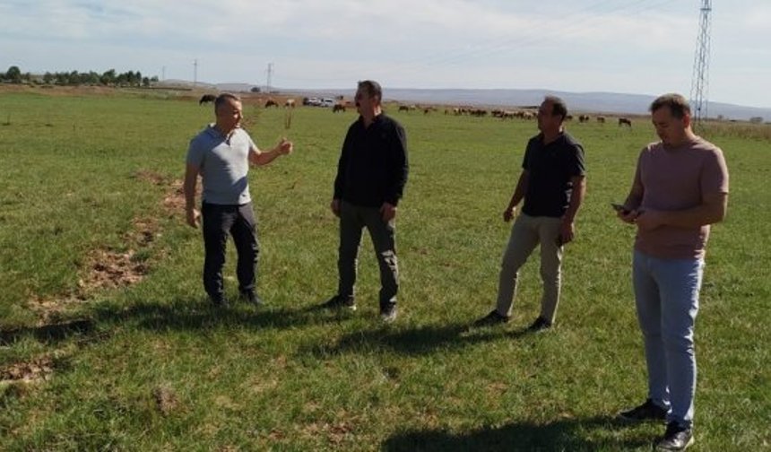 Alaca Kızıllı Merasında Mera Islahı incelendi