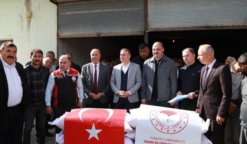 Alaca’da 153 çiftçiye 37 ton sertifikalı arpa tohumu dağıtıldı