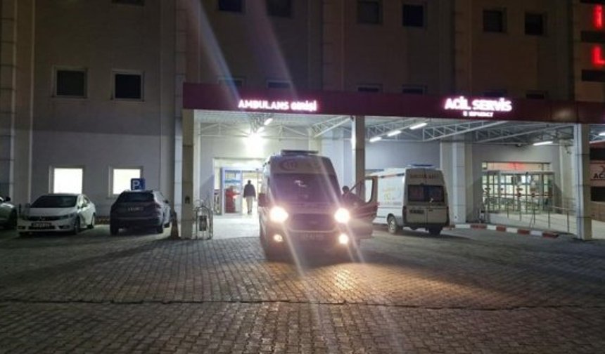 5 lise öğrencisi hastaneye başvurmuştu: Tavuk numunesi temiz çıktı