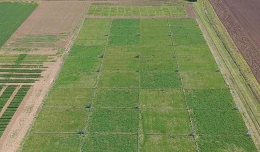 Alaca’da çiftçilere önemli toplantı çağrısı