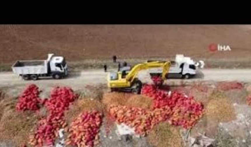 Alaca'da yol kenarına tonlarca soğan döküldü