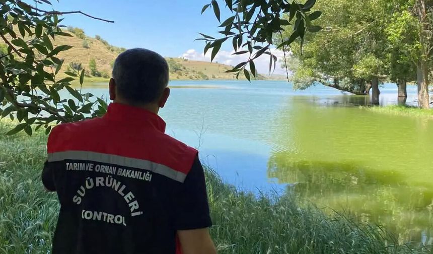Güllük’te aşılama, Seyitnizam’da su ürünleri denetimi