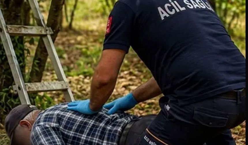 Kiraz toplarken ağaçtan düşen yaşlı adam yaralandı