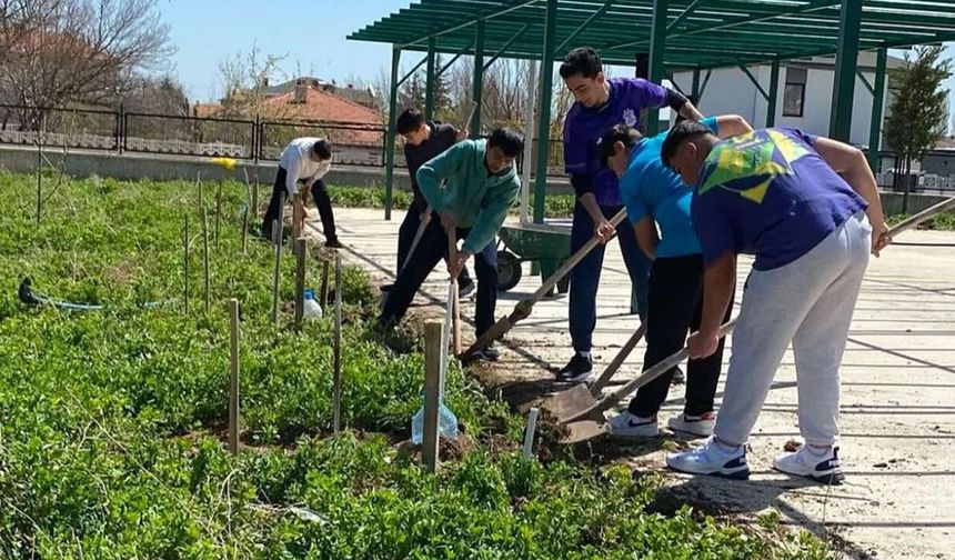 5 dönümlük alan üretime kazandırıldı: Alaca'da örnek proje
