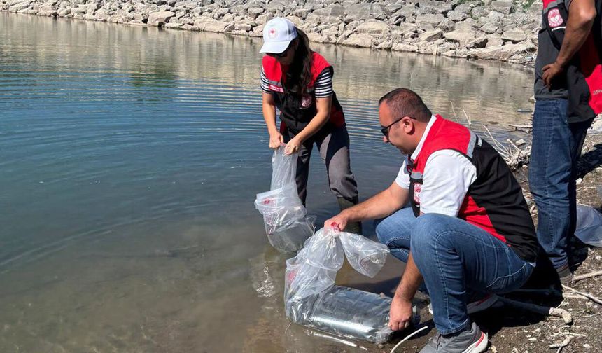 Koçhisar Barajı’na 30 bin yavru balık bırakıldı