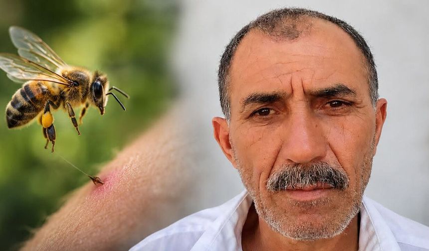 Arı sokması can aldı: 59 yaşındaki Ünal Türk kurtarılamadı